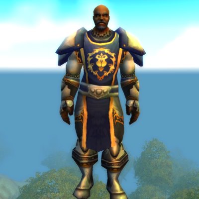 Commander Ashlam Valorfist