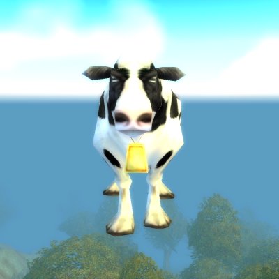 Cow