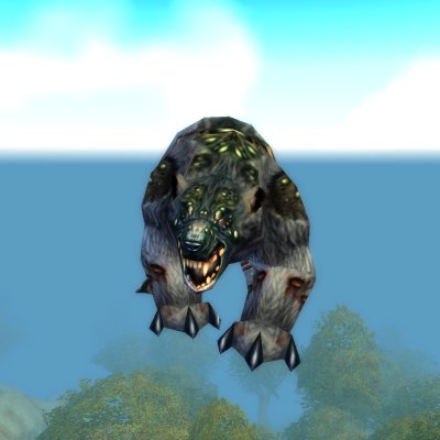 Diseased Black Bear