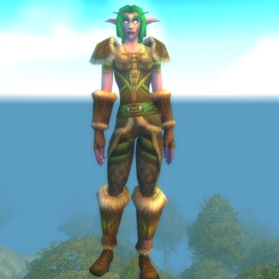 Demented Druid Spirit