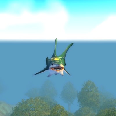 Coral Shark
