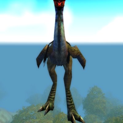Adult Plainstrider