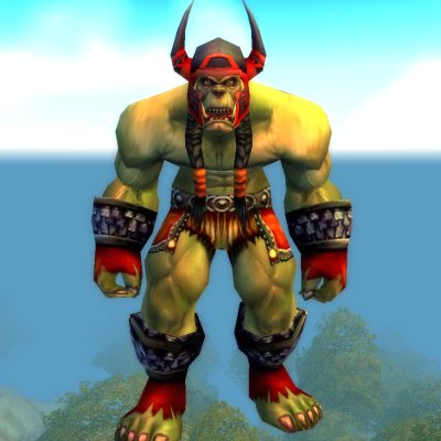 Raider Bork