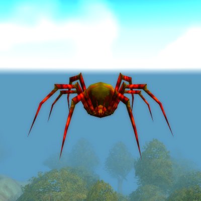 Maexxna Spiderling