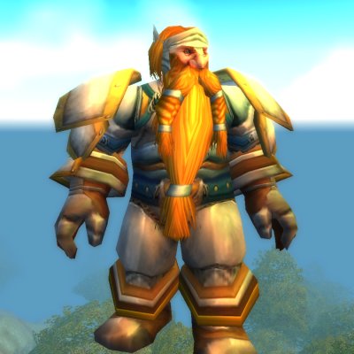 Veteran Defender