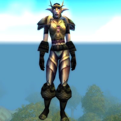 Veteran Sentinel