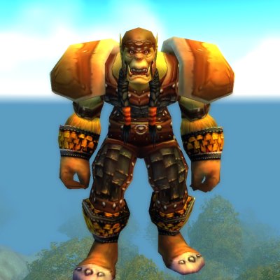 Veteran Warrior