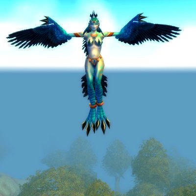 Witchwing Windcaller