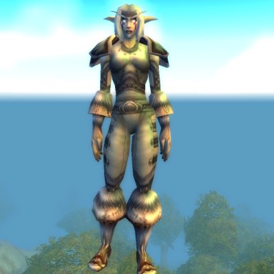 Seasoned Ranger