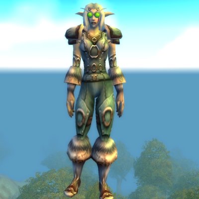 Veteran Ranger