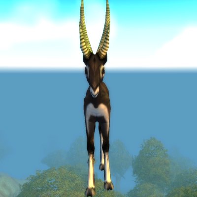 Gazelle