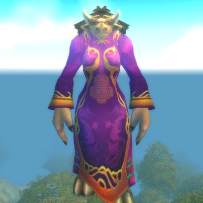 Elder Skychaser