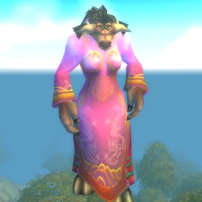 Elder Windtotem