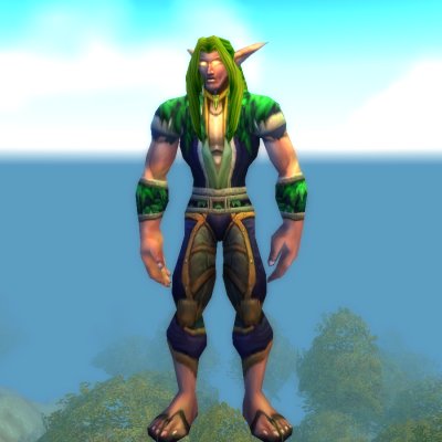 Darnassus Commendation Officer