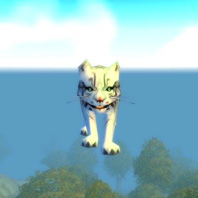 White Tiger Cub