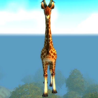 Wandering Barrens Giraffe