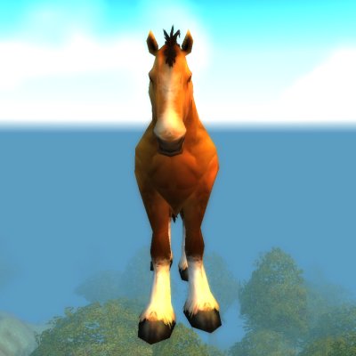 Arathi Horse