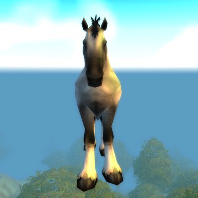 Captured Stallion