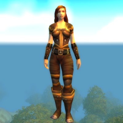 Protector Deni