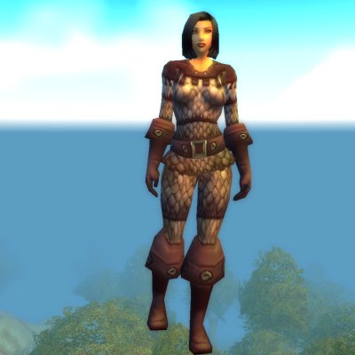 Watcher Selkin