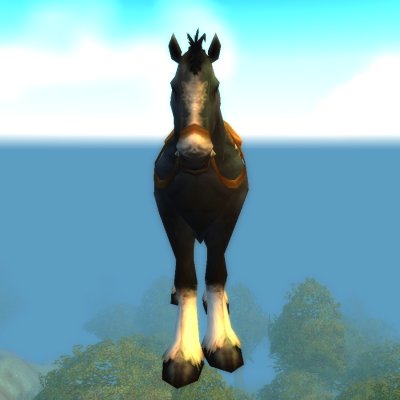 Riding Horse
