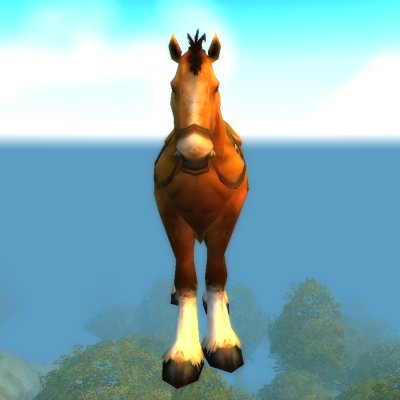 Brown Horse