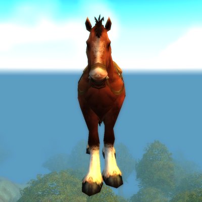 Chestnut Mare
