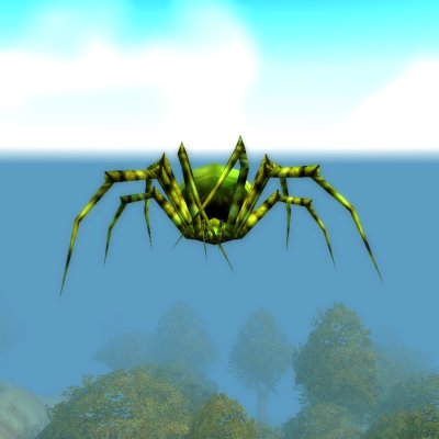 Green Recluse