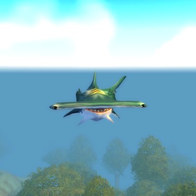 Hammerhead Shark