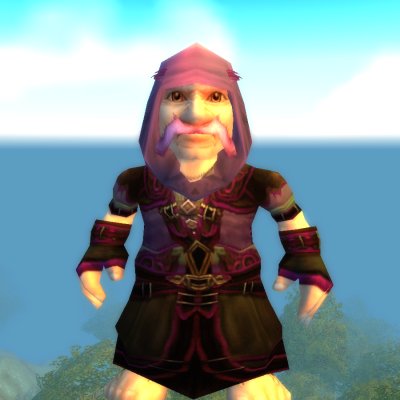 World Gnome Male Mage Trainer