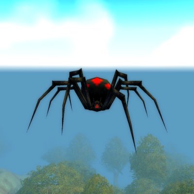 Night Web Spider