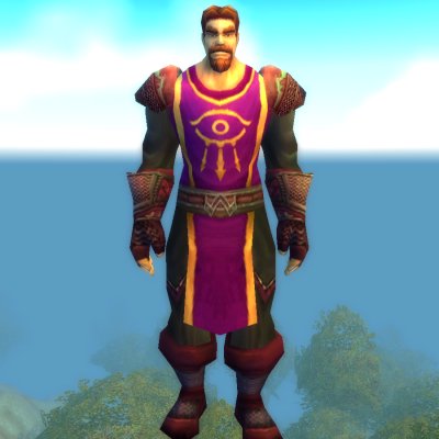 Dalaran Warder