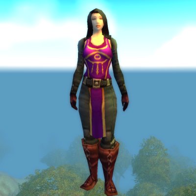 Dalaran Protector