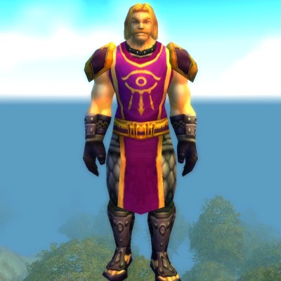 Dalaran Shield Guard