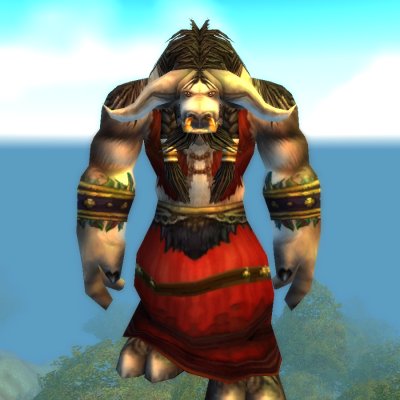 Seer Wiserunner