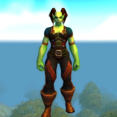[UNUSED] Shikar
