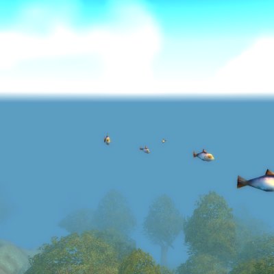 School of Fish