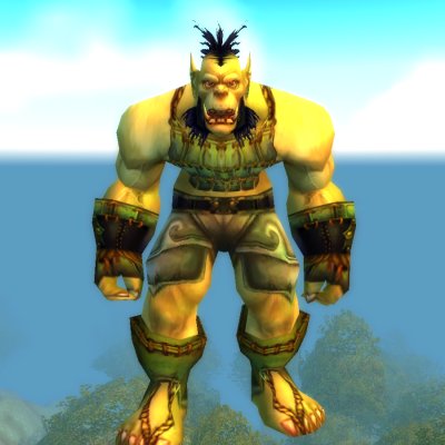 Dragonmaw Raider