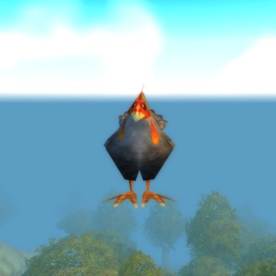 Ancona Chicken