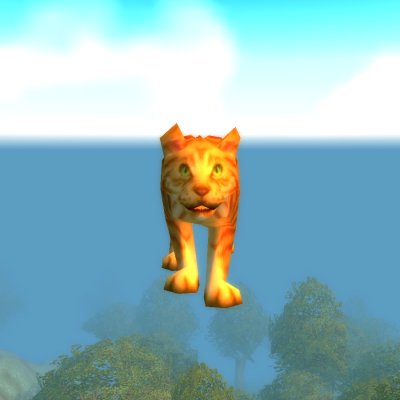 Orange Tabby