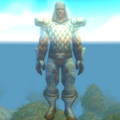 Cursed Paladin