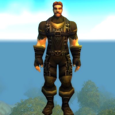 Ravenholdt Assassin