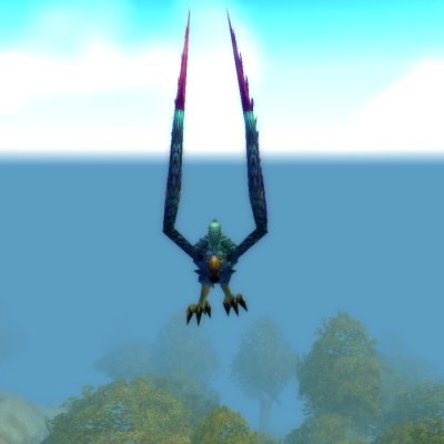 Hyacinth Macaw