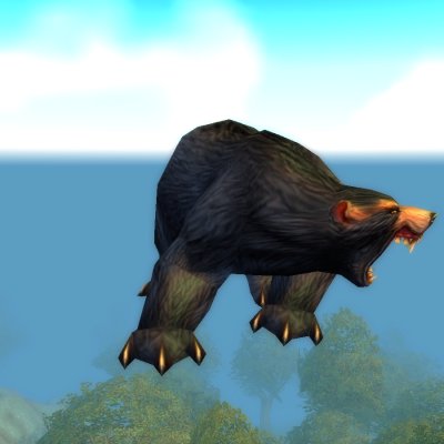 Elder Black Bear