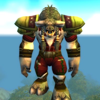 Mulgore Protector