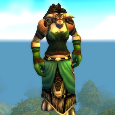 Sheendra Tallgrass