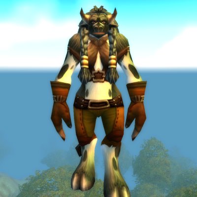 Bashana Runetotem