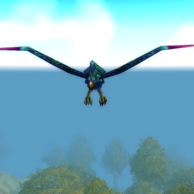 Parrot
