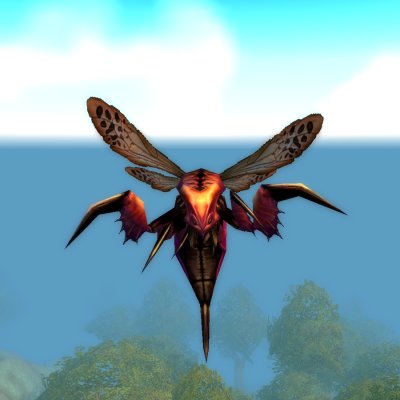 Centipaar Wasp