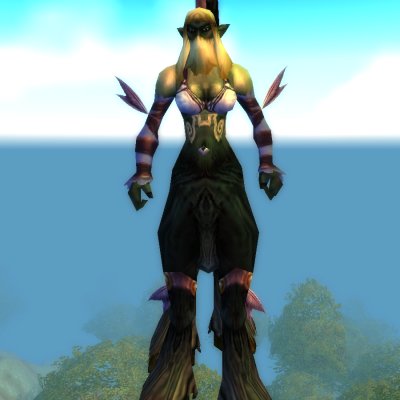 Maraudine Priest
